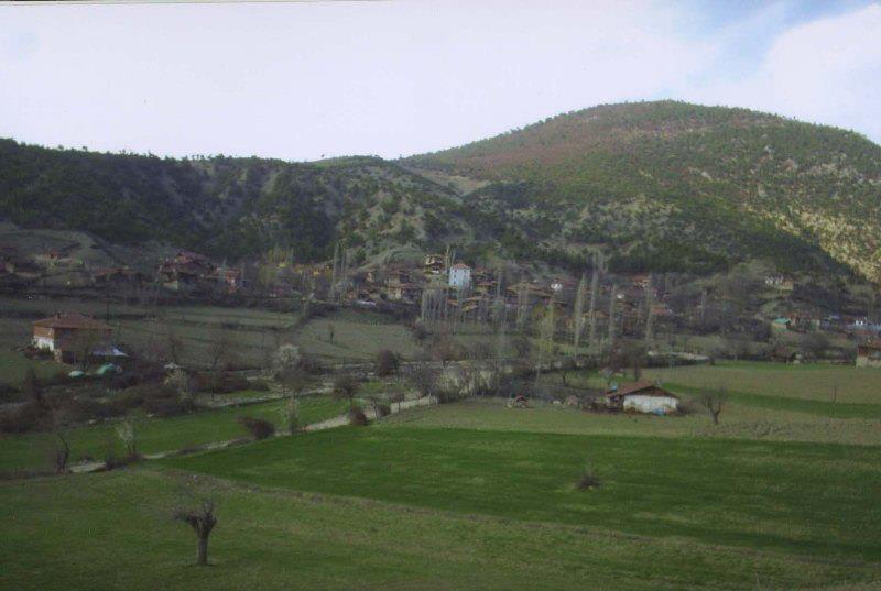 Vezirköprü Danabaş Köyü 2