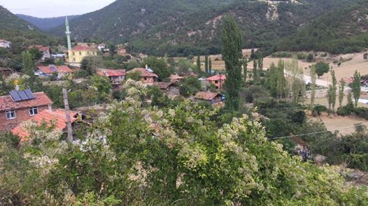 Vezirköprü Danabaş Köyü 7