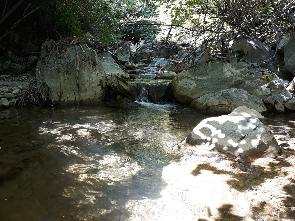 Vezirköprü Çorakdere Köyü 13