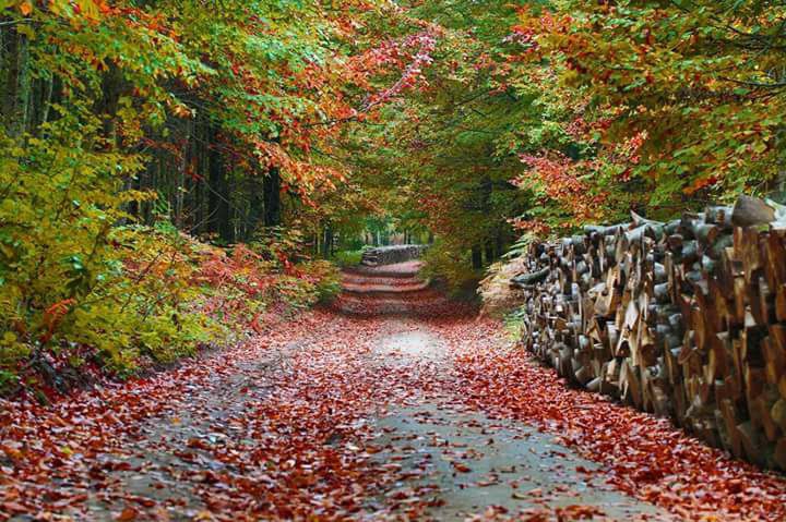 Vezirköprü Çorakdere Köyü 5