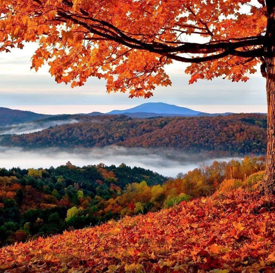 Vezirköprü Çorakdere Köyü 9