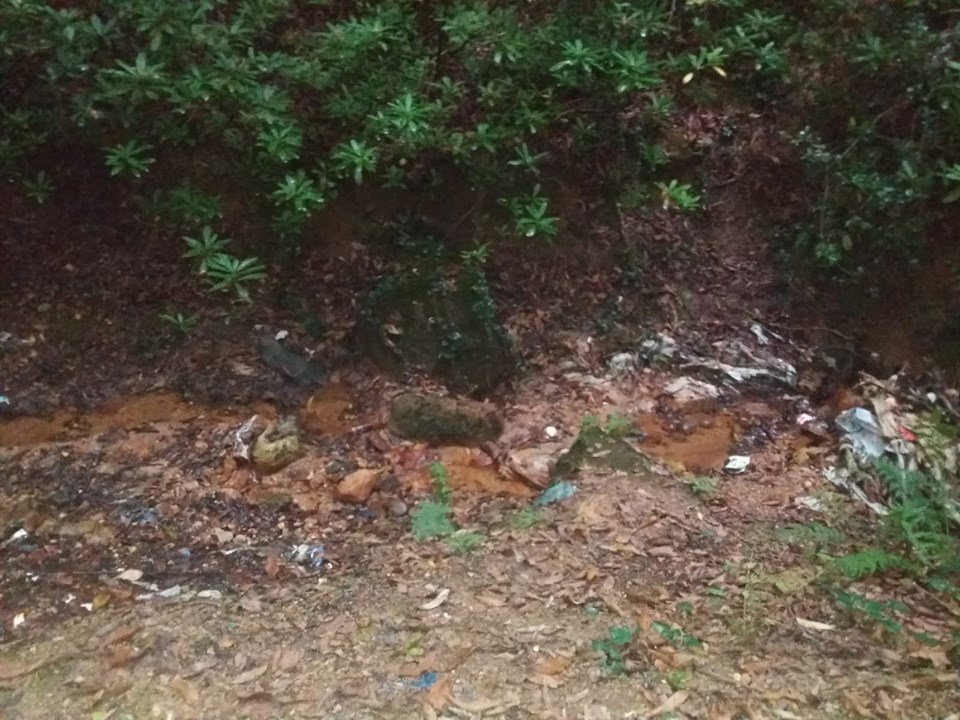 Çatalpınar Elmaköy Köyü Resimleri 8