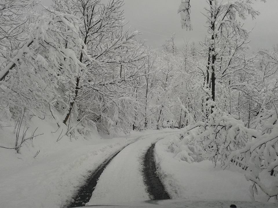 Çatalpınar Gündoğdu Köyü Resimleri 4