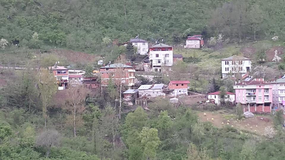 Çatalpınar İncirli Köyü Resimleri 3