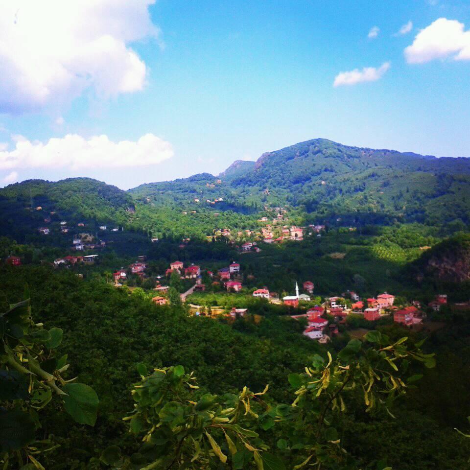 Çatalpınar Karahamza Köyü Resimleri 1