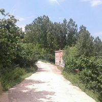 Çatalpınar Karahamza Köyü Resimleri 10