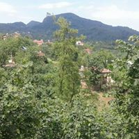 Çatalpınar Karahamza Köyü Resimleri 9