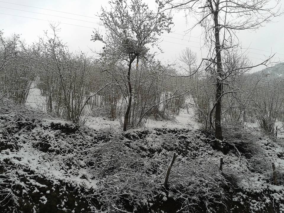 Çatalpınar Keçili Köyü Resimleri 1