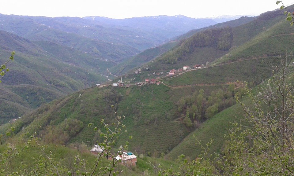 Çatalpınar Madenköy Köyü Resimleri 2