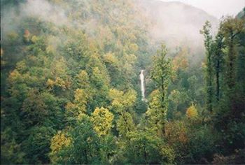 Çatalpınar Ortaköy Köyü Resimleri 2