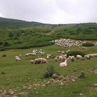 Çatalpınar Ortaköy Köyü Resimleri 3