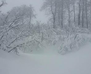 Çatalpınar Ortaköy Köyü Resimleri 5