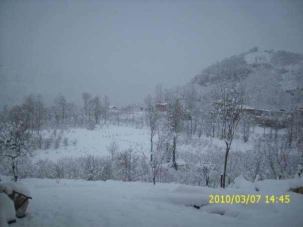 Çatalpınar Sayacatürk Köyü Resimleri 5