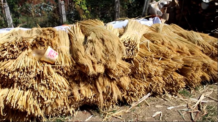 Niksar Gökçeoluk Köyü Resimleri 4