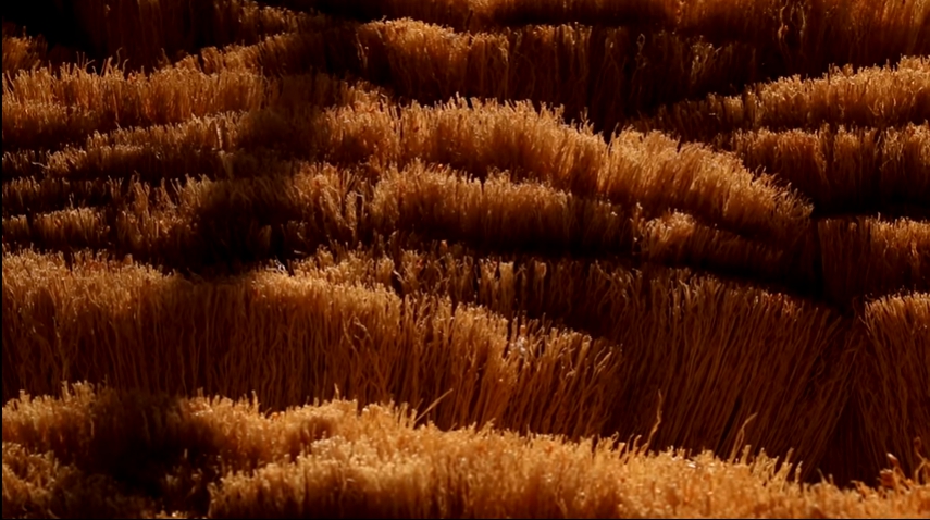 Niksar Gökçeoluk Köyü Resimleri 5