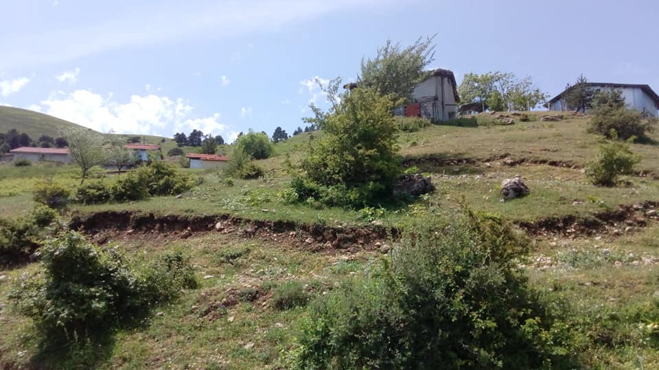 Niksar Gülbayır Köyü Resimleri 7