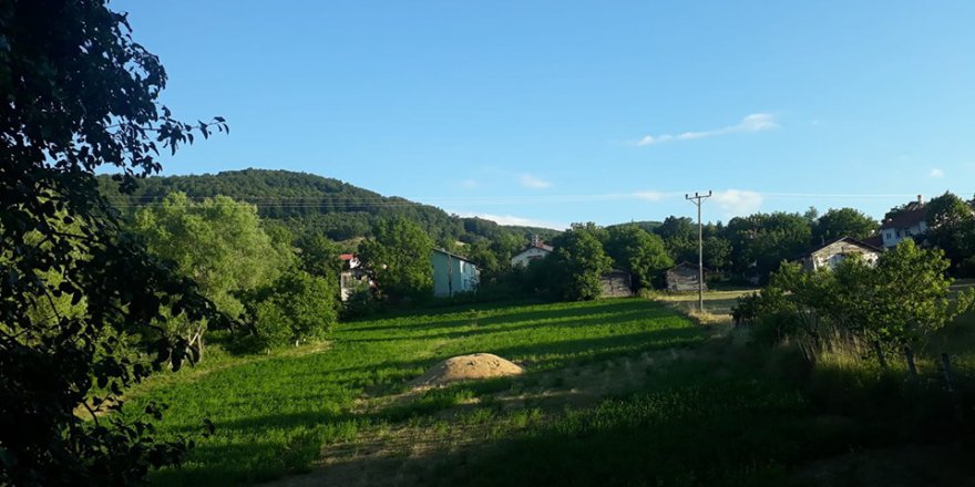 Niksar Gülbayır Köyü Resimleri