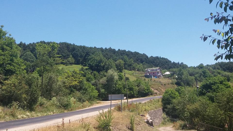 Niksar Gülebi Köyü Resimleri 6