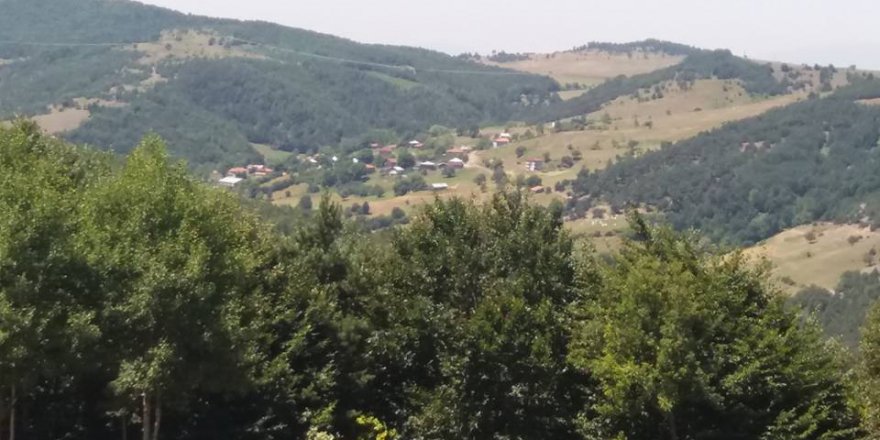 Niksar Gülebi Köyü Resimleri