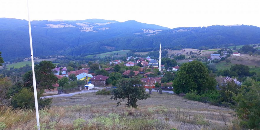 Niksar Gültepe Köyü Resimleri