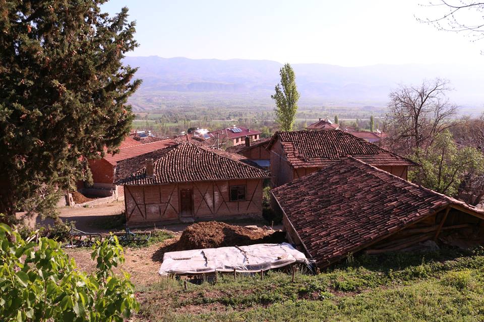 Niksar Günlüce Köyü Resimleri 10