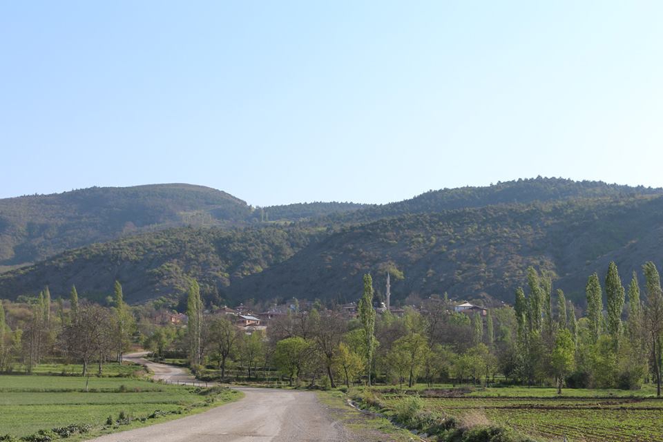 Niksar Günlüce Köyü Resimleri 4