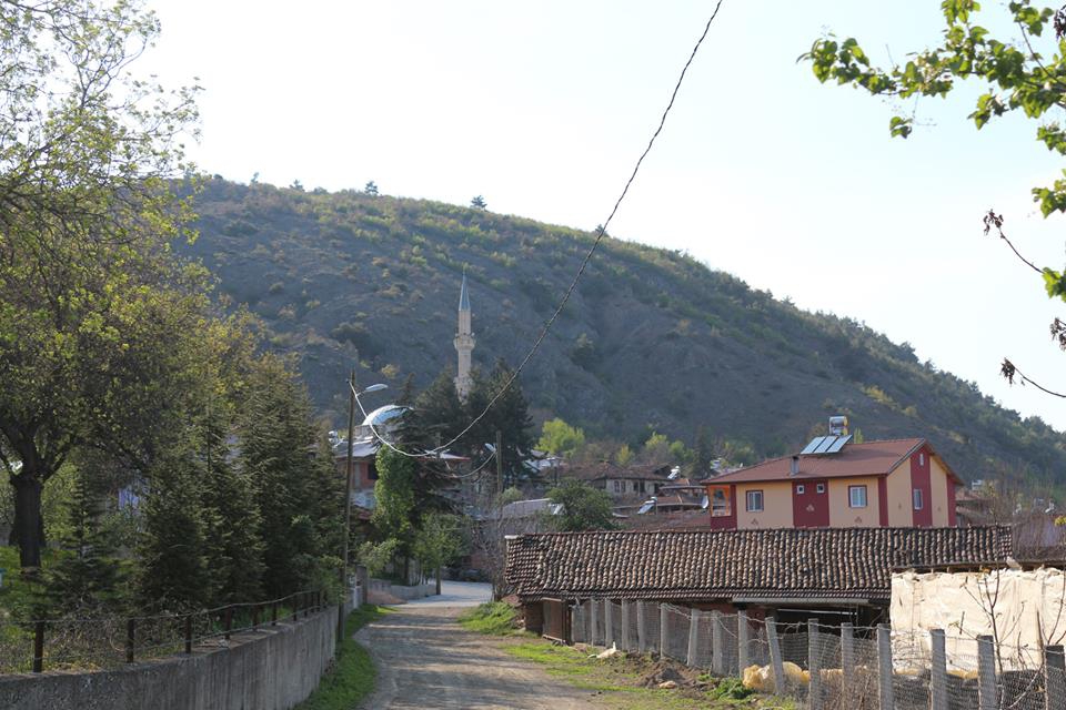 Niksar Günlüce Köyü Resimleri 8