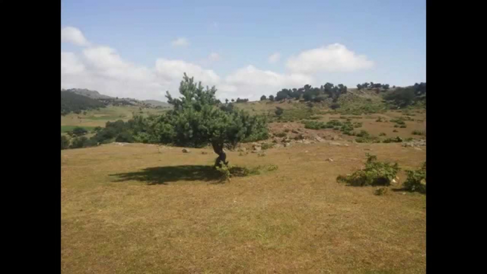 Niksar Güvenli Köyü Resimleri 3