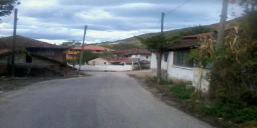 Niksar Hanyeri Köyü Resimleri