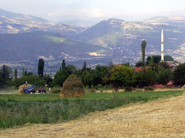 Niksar Hüseyingazi Köyü Resimleri 3