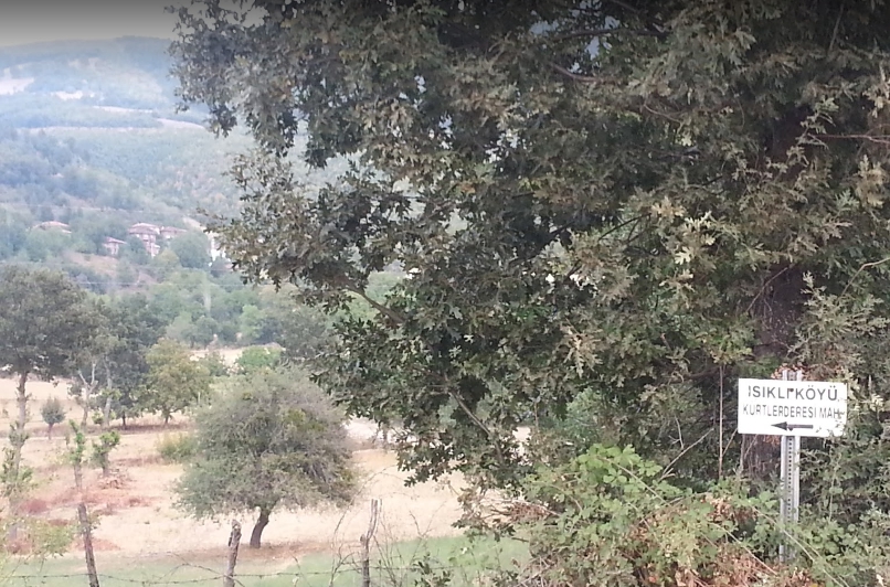 Niksar Işıklı Köyü Resimleri 7