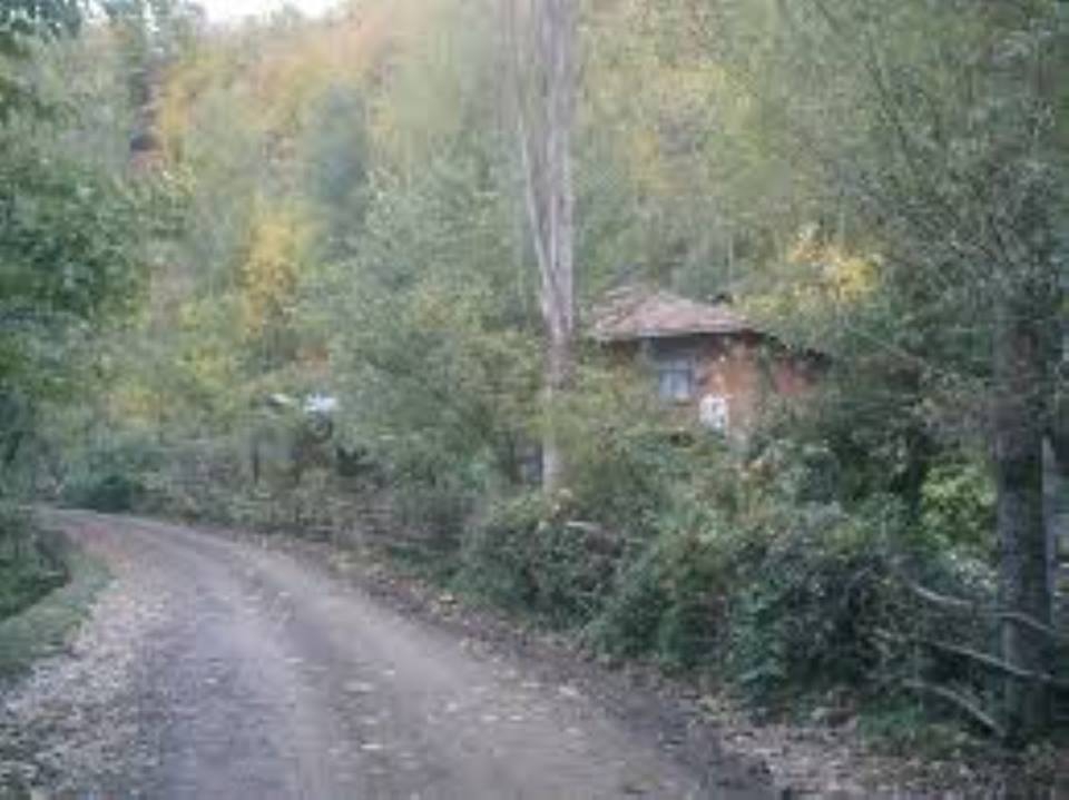 Niksar Kapıağzı Köyü Resimleri 5