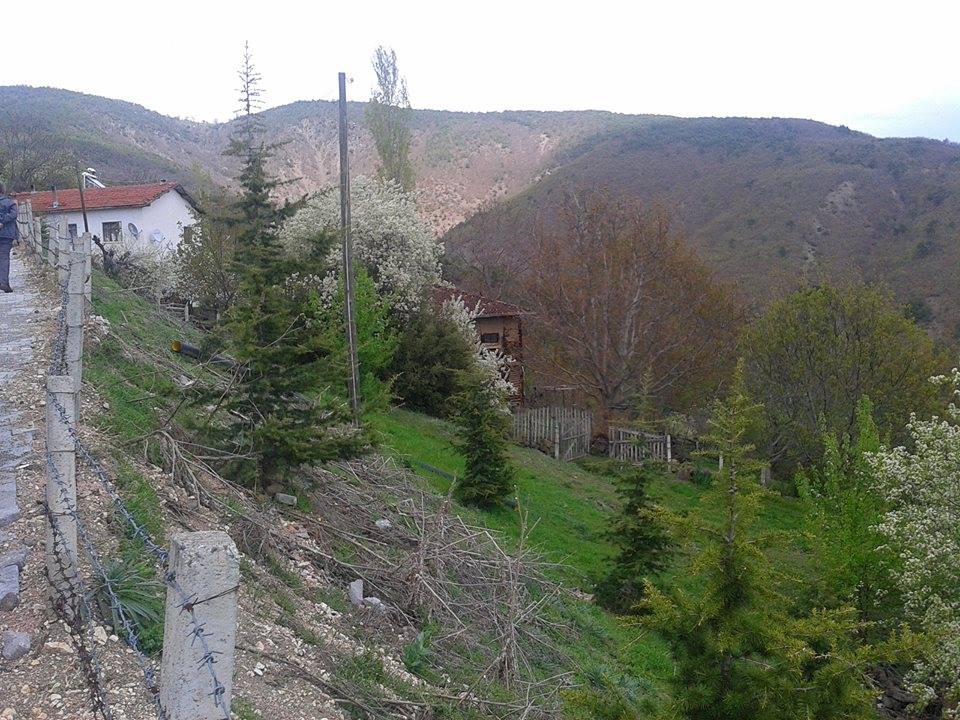 Niksar Karabodur Köyü Resimleri 2