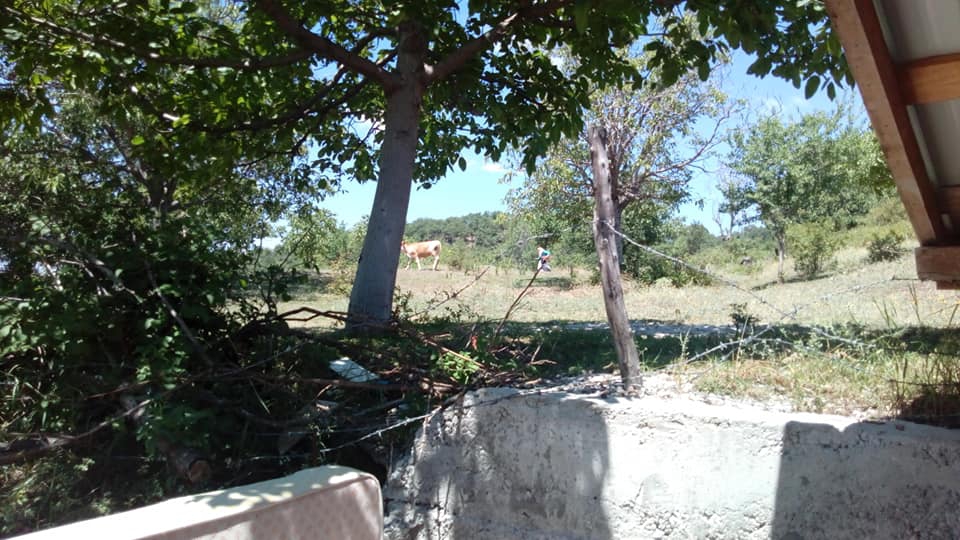 Niksar Karabodur Köyü Resimleri 3