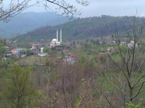 Salıpazarı AlanKöyü Resimleri 7