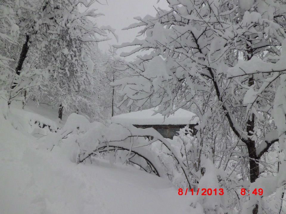 Salıpazarı Çağlayan Köyü Resimleri 3