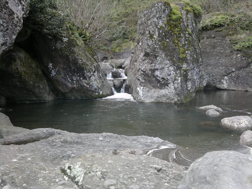 Salıpazarı Çağlayan Köyü Resimleri 7