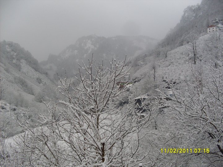 Salıpazarı Çağlayan Köyü Resimleri 9