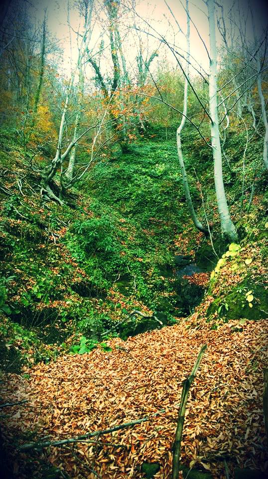 Salıpazarı Karadere Köyü Resimleri 10