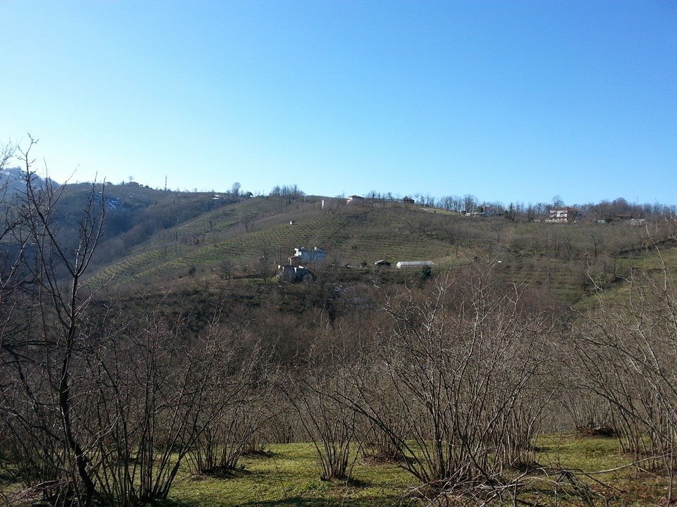 Salıpazarı Karadere Köyü Resimleri 11
