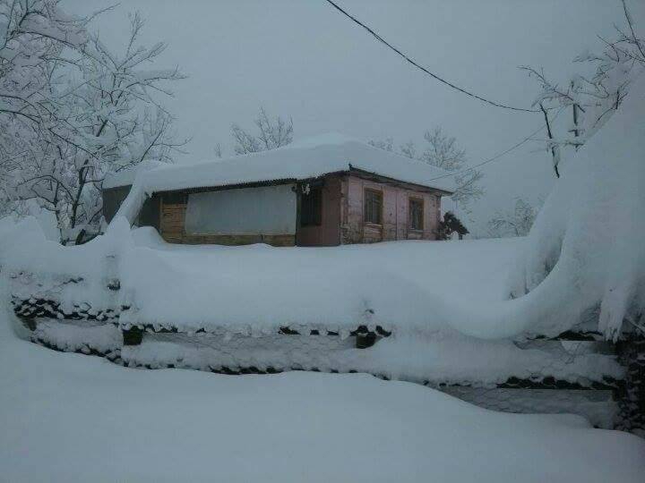 Salıpazarı Karadere Köyü Resimleri 3