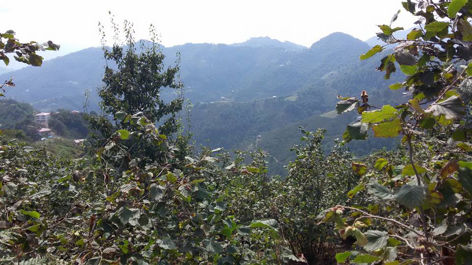 Salıpazarı Karadere Köyü Resimleri 5