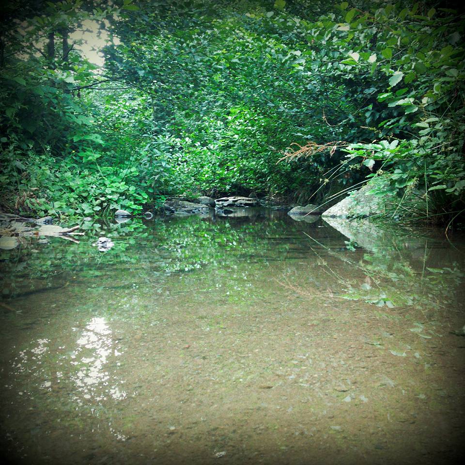 Salıpazarı Karadere Köyü Resimleri 8