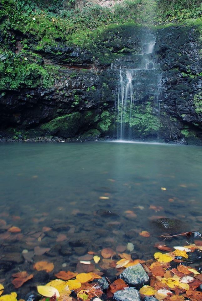 Salıpazarı Karaman Köyü Resimleri 1