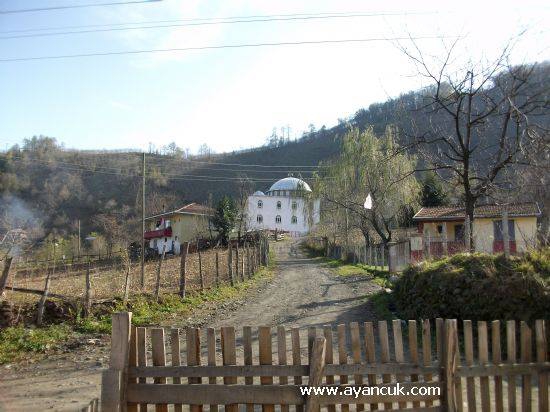 Salıpazarı Karaman Köyü Resimleri 10