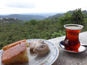 Salıpazarı Karaman Köyü Resimleri 9