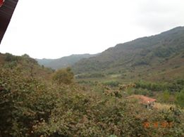 Salıpazarı Kızılot Köyü Resimleri 2