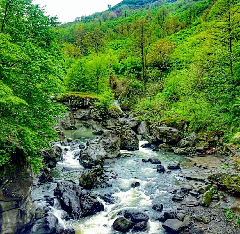 Salıpazarı Kızılot Köyü Resimleri 5