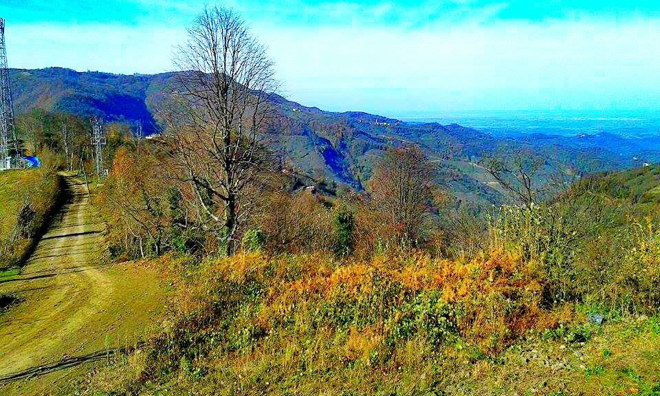 Salıpazarı Kızılot Köyü Resimleri 6