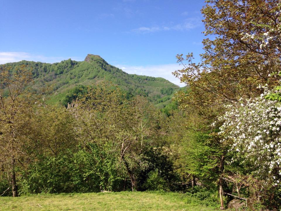 Salıpazarı Konakören Köyü Resimleri 8